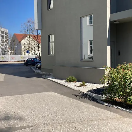 Angel Wings Premium *