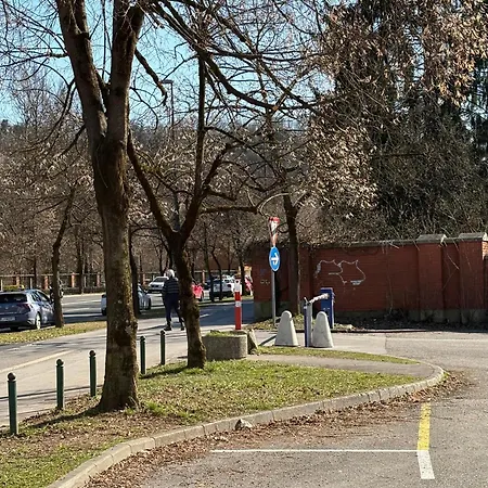 Angel Wings Premium * Lubiana