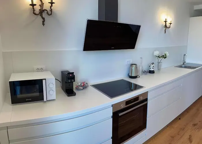 Apartmán Angel Wings Premium Lublaň